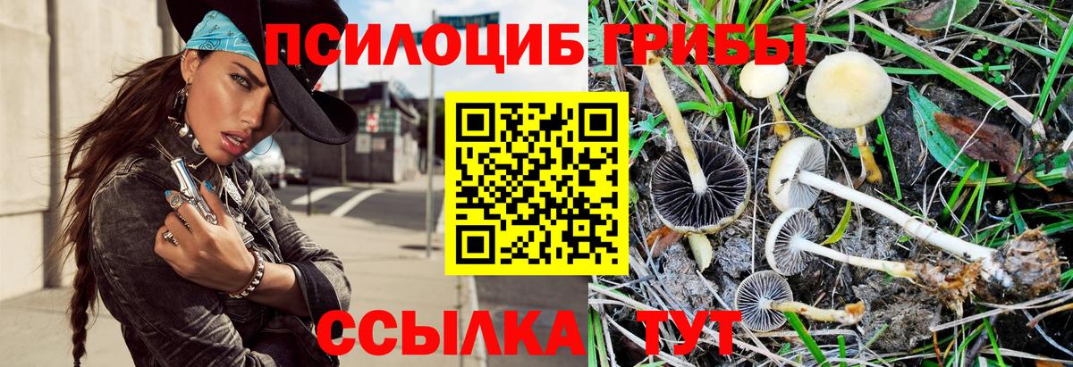 Галлюциногенные грибы MAGIC MUSHROOMS Среднеуральск